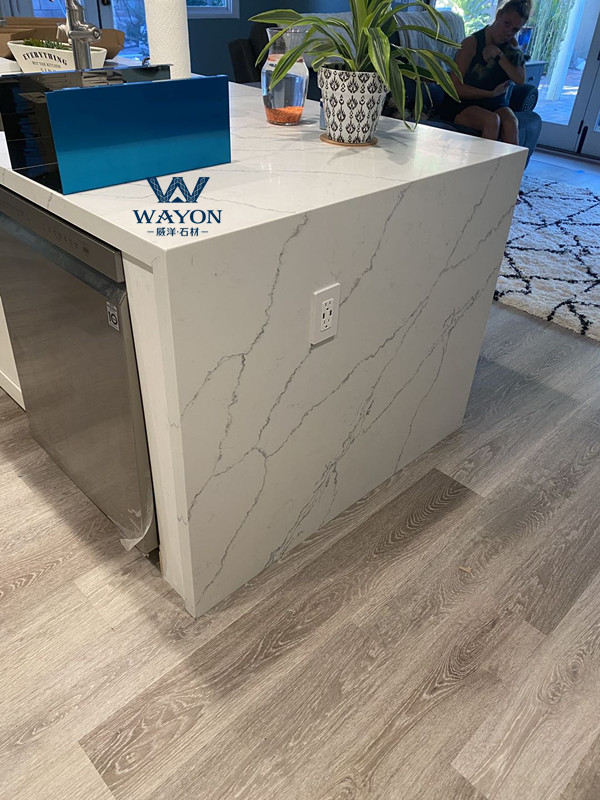 حالة الشقة الأسترالية (WG437 Pulse White)