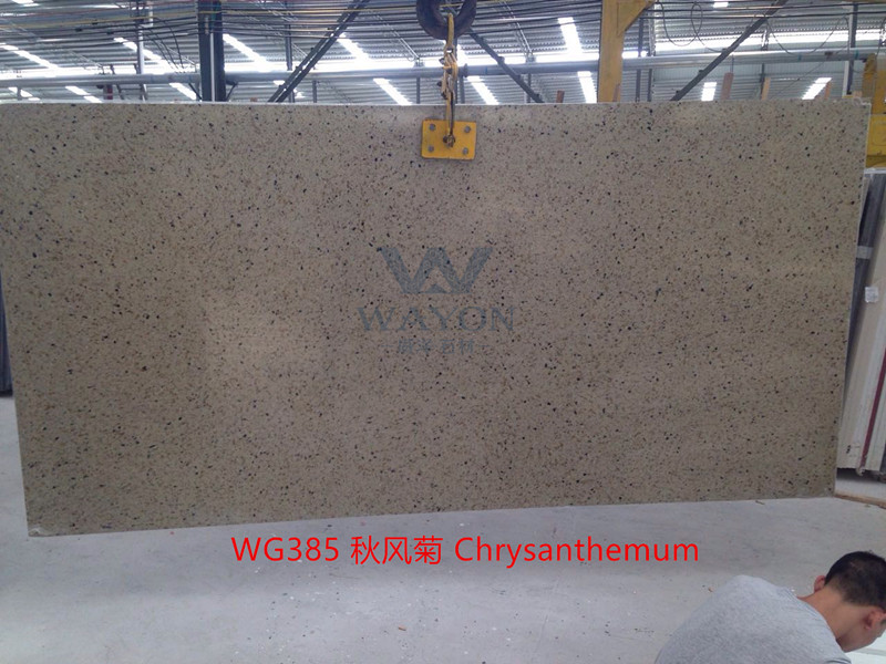 WG385 أقحوان