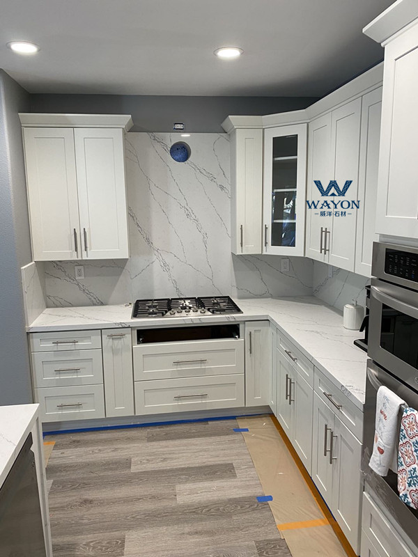 حالة الشقة الأسترالية (WG437 Pulse White)